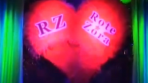 Zeiten des Zorns - Zur Geschichte und Politik der Revolutionaeren Zellen und "Die Rote Zora"