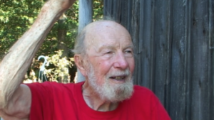 Where have all the flowers gone?