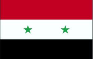 Wahlen in Syrien: hohe Erwartungen an Assad
