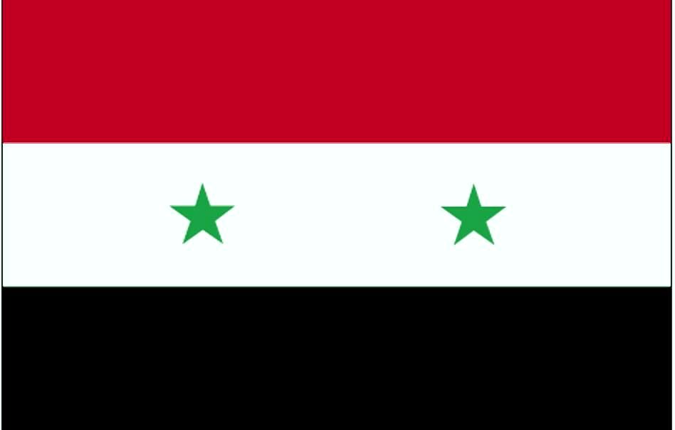 Wahlen in Syrien: hohe Erwartungen an Assad