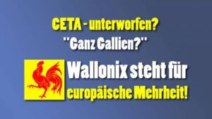 Wallonix steht für europäische Mehrheit