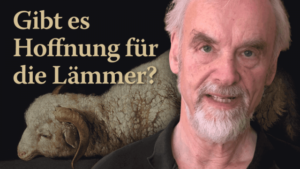 Gibt es Hoffnung für die Lämmer?