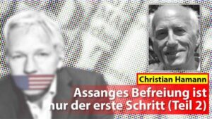 Christian Hamann: Assanges Befreiung ist nur der erste Schritt (Teil 2)