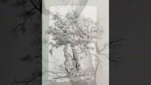 Gegenstimmen: Von Baum und Wald