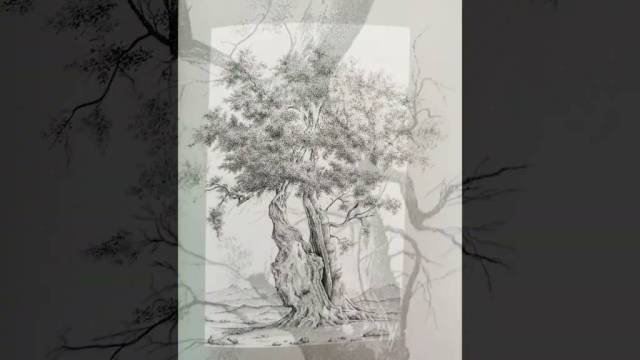 Gegenstimmen: Von Baum und Wald