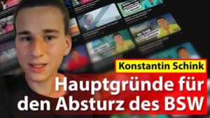 Hauptgründe für den Absturz des BSW