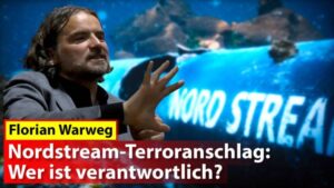Florian Warweg, Journalist und Korrespondent der NachDenkSeiten bei der Bundespressekonferenz