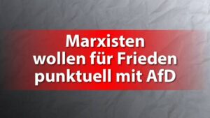 Marxisten wollen punktuell mit AfD