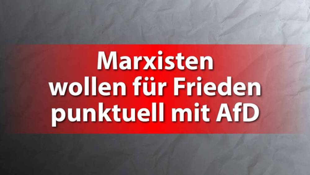 Marxisten wollen punktuell mit AfD