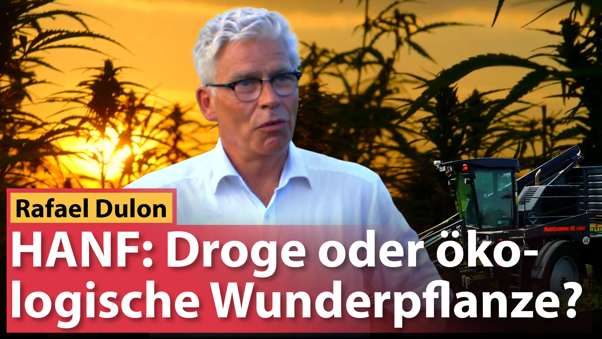 HANF: Droge oder ökologische Wunderpflanze?